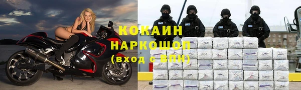 стаф Балахна