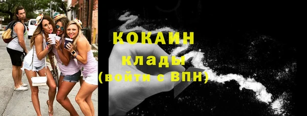 стаф Балахна