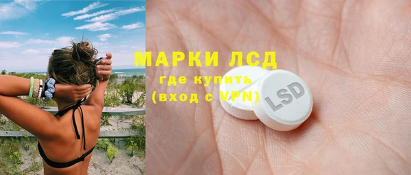стаф Балахна