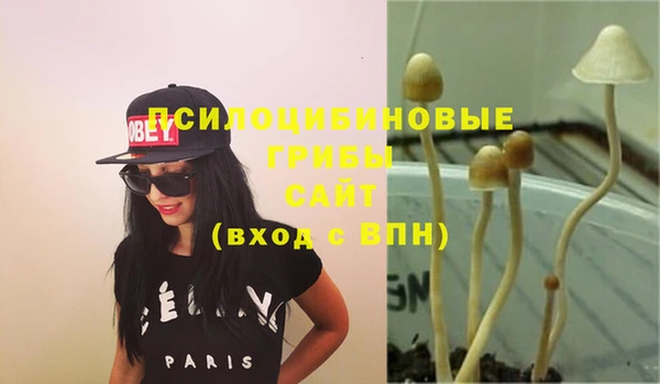 стаф Балахна
