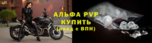 стаф Балахна