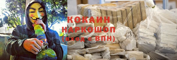 стаф Балахна